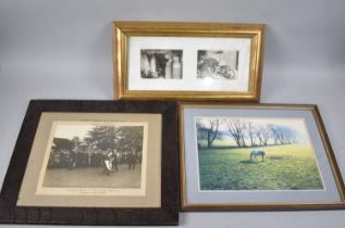 Three Framed Photographs to include Shropshire Bowlers Open Handicap 1916