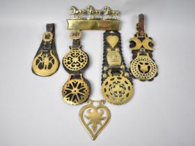 WITHDRAWN>A Collection of 19th Century Horse Brasses on Martingale Straps Etc