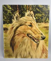 An Unframed Oil on Board Depicting Collie, Signed D Brown 1974, 43x54cms