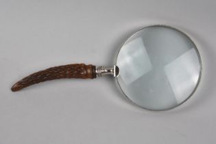 A Silver Banded Antler Handled Desktop Magnifying Glass, Hallmarked H.A Sheffield 1907, 29cms Long