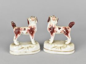 A Pair of Porcelain Studies of Spaniels Modelled Standing in the Liver Patch Colourway, 8cm high