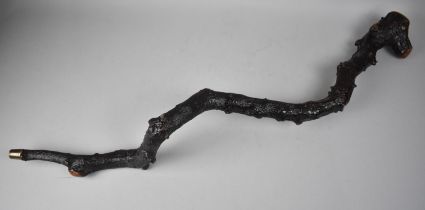 A Vintage Thornwood Rustic Walking Stick