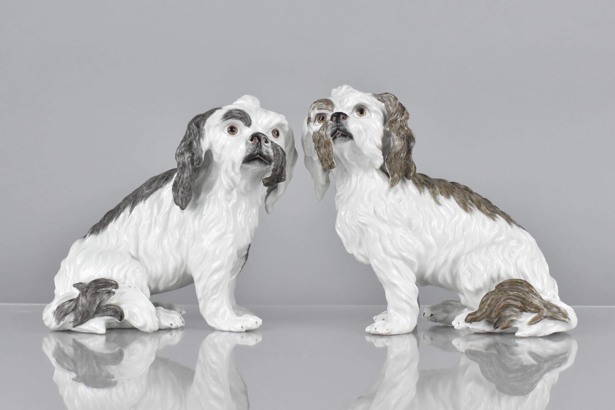 A Pair of Meissen Style Porcelain Studies of Terriers Modelled Seated Facing Left and Right with