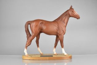 A Beswick Connoisseur Model of a Racehorse, 'The Minstrel,' Racehorse of the Year 1977, Winner of