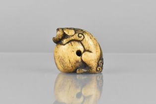 A 19th Century Carved Bone Netsuke in the Form of a Temple Lion on Ball, Some loss to Head, 4cm High