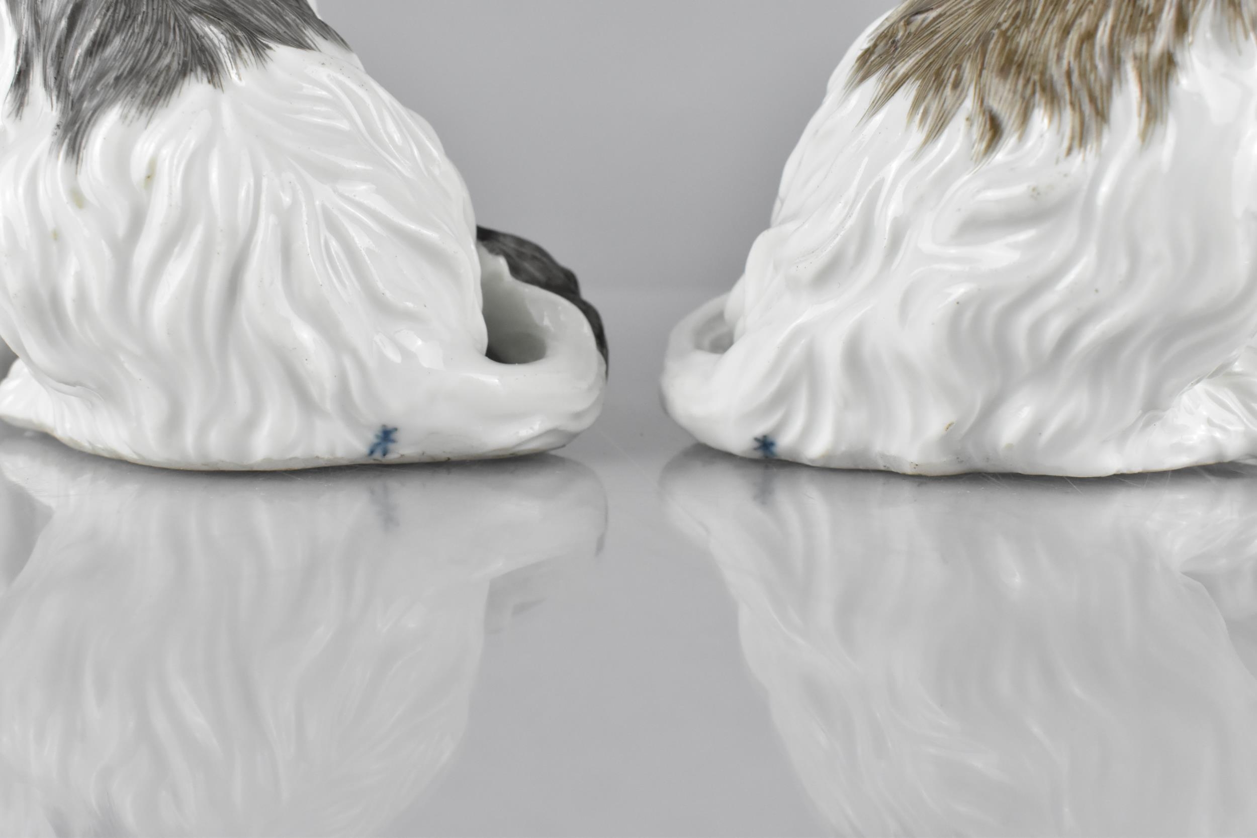 A Pair of Meissen Style Porcelain Studies of Terriers Modelled Seated Facing Left and Right with - Image 2 of 2