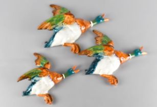 Three Beswick Duck Wall Plaques, No. 596-1, 596-2 and 596-3