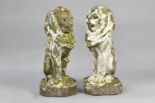 A Pair Of Early 20th Century Composite Stone Garden Lions, 60cm High