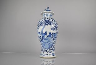 A 19th Century Chinese Qing Dynasty Porcelain Blue and White Baluster Vase and Cover Decorated