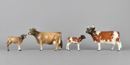 Two Beswick Cows and Calf to Comprise Ayrshire Cow Ch. "Ickham Bessie", in Gloss, Model no. 1350,