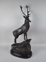 A Large Patinated Bronze Study of Stag on Rock, Set on Oval Stepped Marble Plinth, Facing Right,