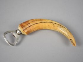 A Novelty Bottle Opener, The Handle Formed from a Warthog Tusk, 15cms Long