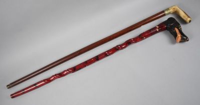 Two Vintage Walking Sticks, One with Carved Dogs Head having Glass Eyes and a Malacca Cane with Stag