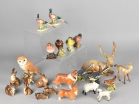 A Collection of Various Beswick Birds and Animals to Include Barn Owl, Finches, Deer, Sheep, Collie,