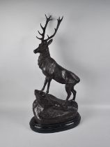 A Large Patinated Bronze Study of Stag on Rock, Set on Oval Stepped Marble Plinth, Facing Left,