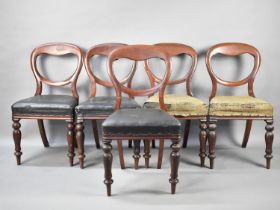 A Set of Five Victorian Mahogany Framed Balloon Back Dining Chairs