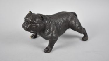 A Patinated Bronze Study of a Muscular Bulldog , 19.5cm Long