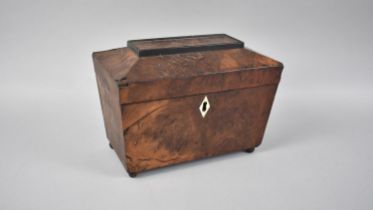 A 19th Century Burr Wood Sarcophagus Shaped Tea Caddy with Ball Feet, 22cm wide