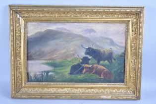 A Gilt Framed Oil on Card, Highland Cattle, Frame AF, 40x25cm