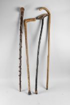 A Collection of Four Various Rustic Walking Sticks