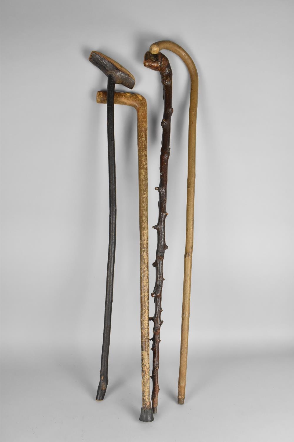 A Collection of Various Walking Sticks including two with Silver Mounts Although All with - Image 3 of 3