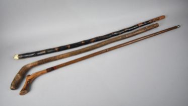 A Collection of Three Rustic Walking Sticks