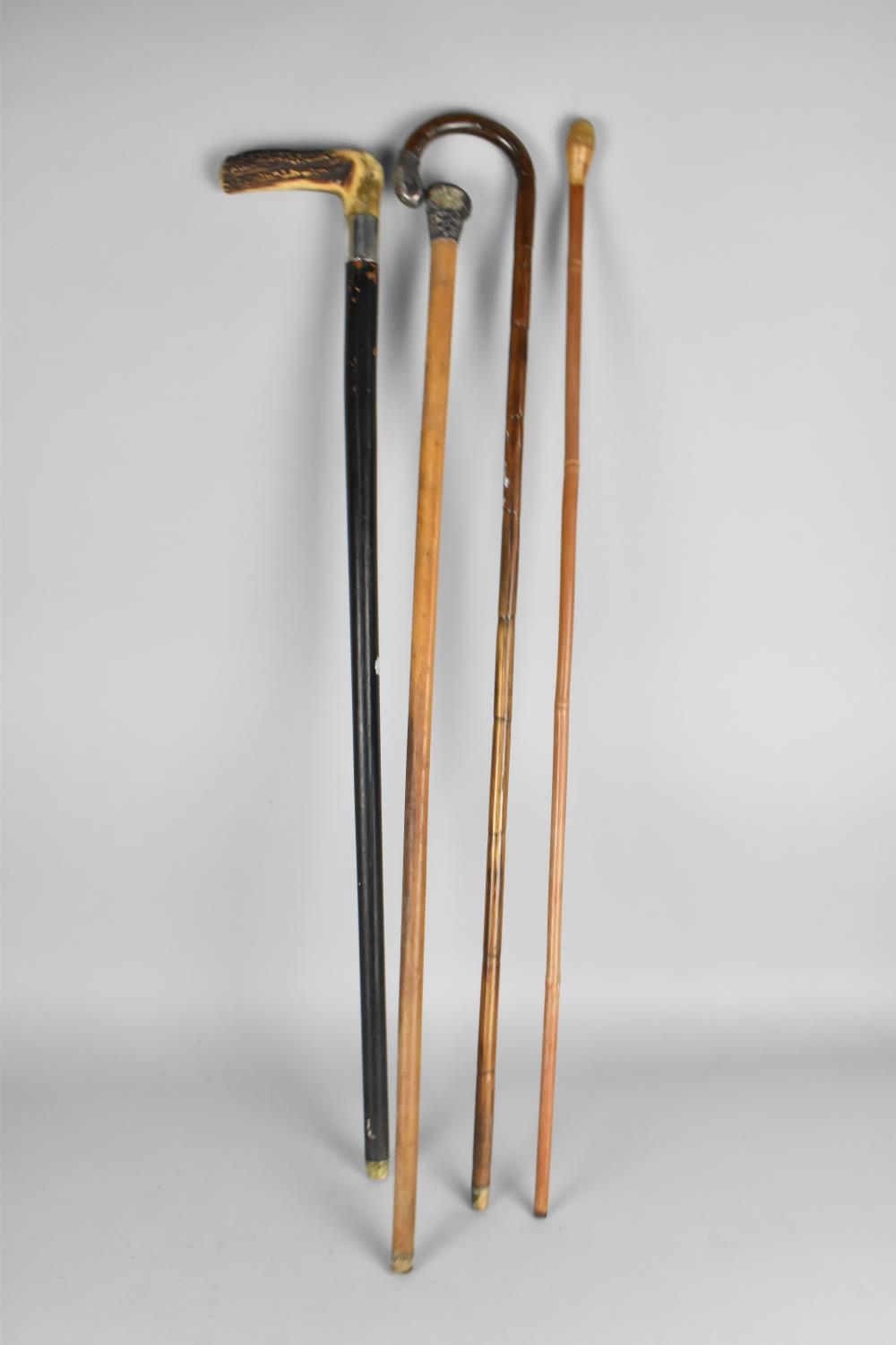 A Collection of Various Walking Sticks including two with Silver Mounts Although All with - Image 2 of 3