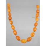 A Short String of Egg Yolk Amber Beads, Graduated Oval Form, Largest Measuring 13.7mm by 9.2mm, 9.