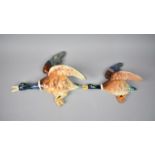 Two Graduated Falcon Ware Wall Hanging Duck Plaques, Largest 30cms Wide