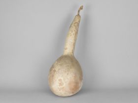 A Vintage Gourd