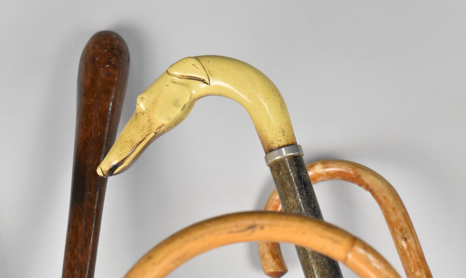 A Collection of Various Vintage Walking Sticks to Include Greyhound Head Handled, Silver Mounted - Image 2 of 5