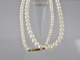 A Pretty String of White Coloured Graduated Ovoid Pearls on a 9ct Gold Clasp, 42cms Long