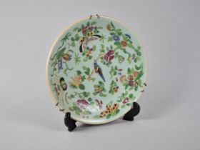 A Chinese Qing Period Celadon Glazed Plate Decorated in the Famille Rose Palette with Butterflies