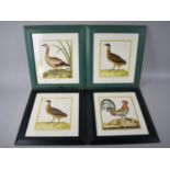 A Set of Four Framed French Bird Plates, Each 21x17cms