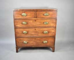 A Mid 19th Century Mahogany Chest of Two Short and Three Long Drawers, Oval Brass Drop Handles, 91.
