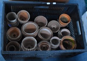 A Collection of Various Small Terracotta Plant Pots