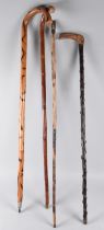 A Collection of Four Rustic Walking Sticks