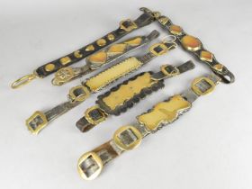 A Collection of Various 19th/20th Century Brass Mounted Leather Harness Straps