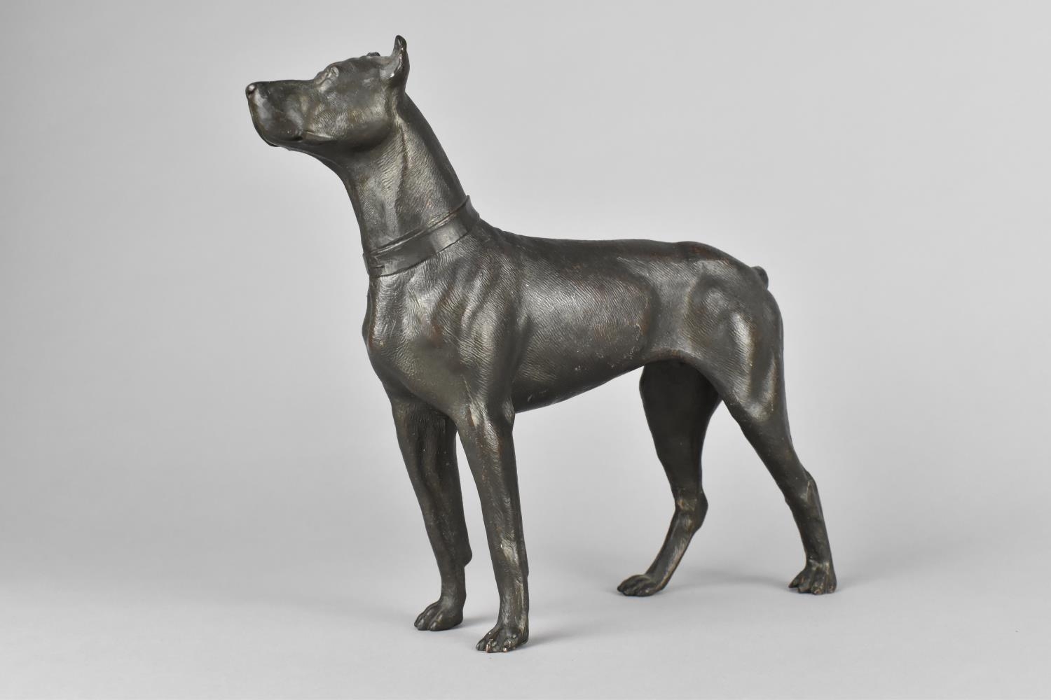 A Bronzed Study of a Doberman Pinscher, Tail Detached but Present, 19cms Long - Image 2 of 3