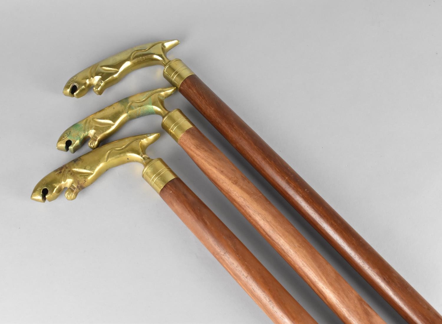 Three Matching Brass Handled Walking Sticks with Jaguar Type Handles