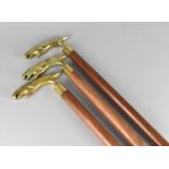 Three Matching Brass Handled Walking Sticks with Jaguar Type Handles