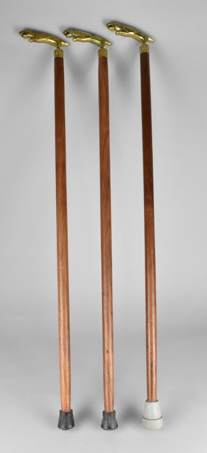 Three Matching Brass Handled Walking Sticks with Jaguar Type Handles - Image 2 of 2