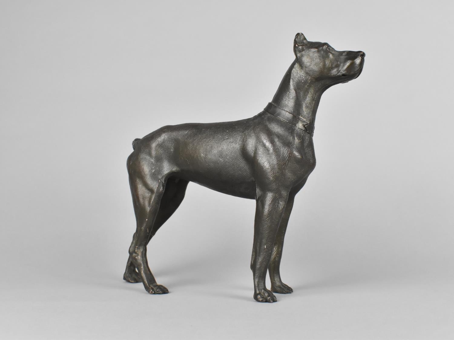 A Bronzed Study of a Doberman Pinscher, Tail Detached but Present, 19cms Long