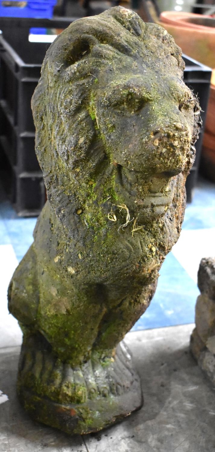 A Composite Stone Garden Ornament Modelled as a Lion, 49cm high