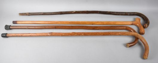 A Collection of Four Rustic Walking Sticks