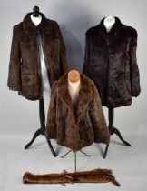 A Collection of Various Fur Jackets, Stole Etc