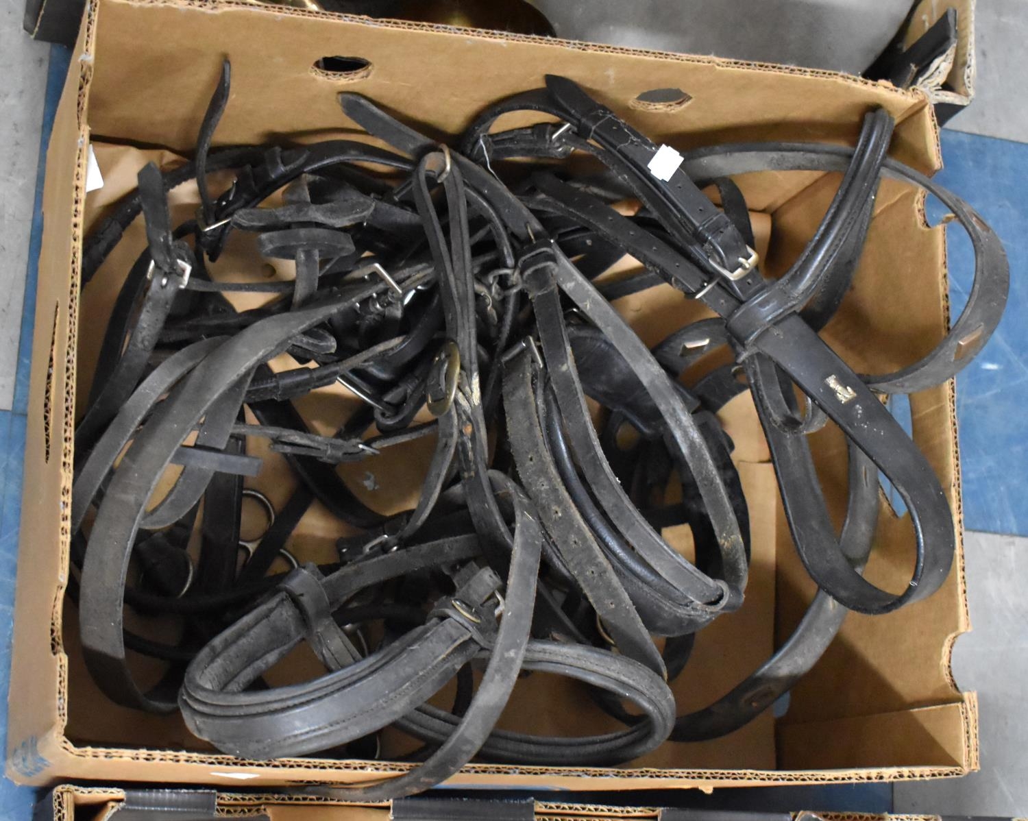 A Box of Various Horse Leather Harnesses, Head Collars etc