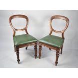 A Pair of Late Victorian Mahogany Balloon Back Chairs with Front Turned Supports Having Later