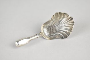A Victorian Silver Caddy Spoon by Hilliard & Thomason, with Shell Shaped Bowl, Birmingham