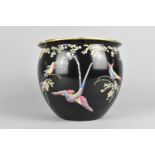 A Cetem Ware Jardiniere Decorated with Exotic Birds on Black Ground, 19.5cm high